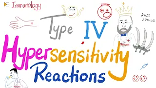 Type IV Hypersensitivity Reaction (HSN-IV) | Let’s make a Granuloma! | Immunology