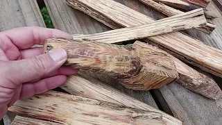 How to make a FIRE STARTER from a rotted old pine stump - shout out to David West