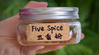 How to Make Chinese Five Spice (五香粉)