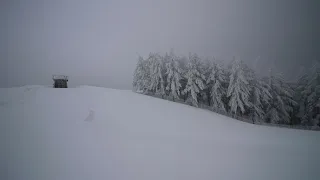 눈 내리는 풍경 Snowy scenery