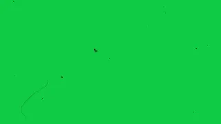 Vintage VHS Green Screen | old film grain overlay | scratches