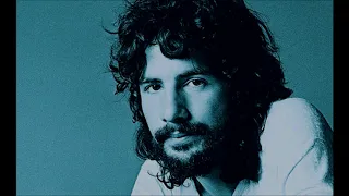 Matthew & Son  CAT STEVENS (with lyrics)