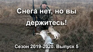 Снега нет, но вы держитесь! Два зайца! Сезон 2019-2020. Выпуск 5