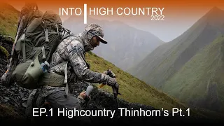 Highcountry Thinhorns Part 1