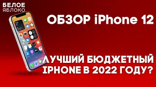 iPhone 12 в 2022 году | Идеальный бюджетный смартфон Apple? | Стоит покупать в 2022-2023 году?