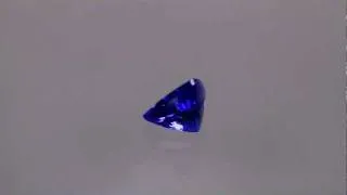 Tanzanite Trilliant Violet Blue Vidid Color Weighing 1.53 Carats