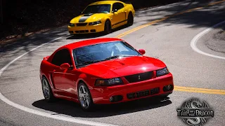 Mustang Cobra Terminator w/ Kooks long tube headers