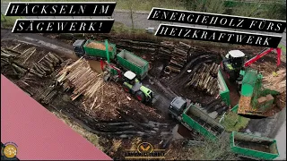 Kerniger Sound beim Bretter & Stämme häckseln im Sägewerk! Energieholz fürs Heizkraftwerk JENZ HEM