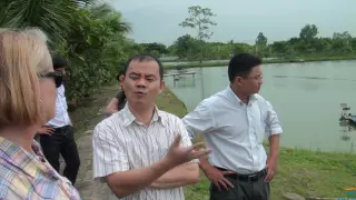 Black Tiger Shrimp Farm Tour in Vietnam - Pond to Processing to Finished Product