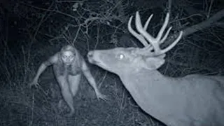 Top 10 WEIRD Trail Cam Photos That Will Haunt You