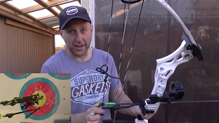 How does a $200 compound shoot - Junxing Pheonix target compound bow
