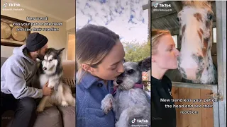 Kiss your pet on the head and see their reaction