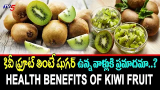 Health Benefits Of Kiwi Fruit In Telugu | Health Tips | Kiwi Fruit Importance | TV5 Digital