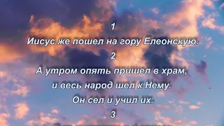 Кто из вас без греха, первый брось на нее камень