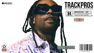 Ty Dolla Sign Type Beat 2024 - "Flawless"