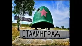 Растет в Волгограде березка +