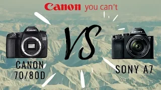 Canon 70d Vs Sony a7 сравнение камер