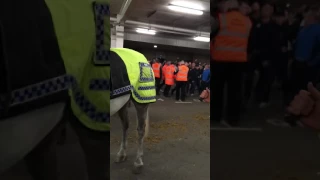 Leeds at Newcastle