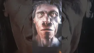 6 million years of human evolution in 11 seconds