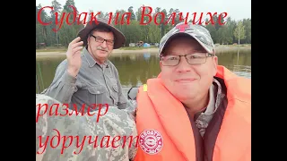 Судак на Волчихинском водохранилище.