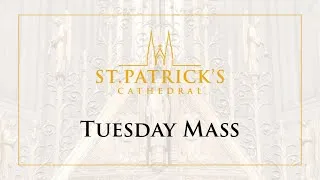 Tuesday Afternoon Mass - November 2nd 2021