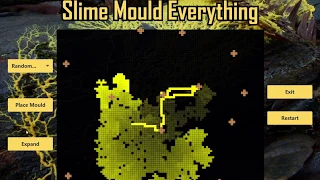 Slime Mould Simulation