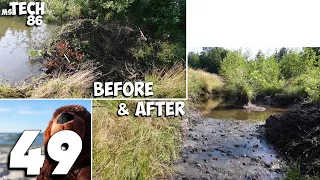 Manual Beaver Dam Removal No.49 - We Removed Big Dam With My Wife