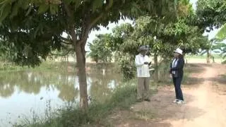 Agriculture_Fish Feeding Farm - Part 02 (ស្ថានីយ៍ផលិតពូជត្រី៧មករា វគ្គ2)