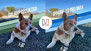 Samsung Galaxy S22 Ultra vs iPhone 13 Pro Max: Camera Shootout