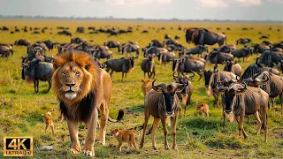 Our Planet | 4K African Wildlife - Great Migration from the Serengeti to the Maasai Mara, Kenya #63