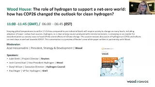 Davos 2022 - The role of hydrogen to support a net zero world