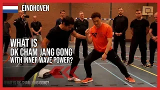 What is DK Cham Jang Gong with Inner wave power? - DK Yoo