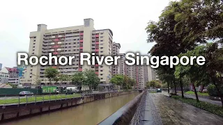 Rain walks along Rochor River Singapore [Binaural 3D Audio]