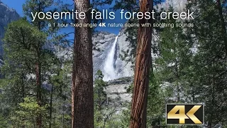 "Yosemite Falls Forest Creek" 1 HR Pure 4K Nature Video + Sounds