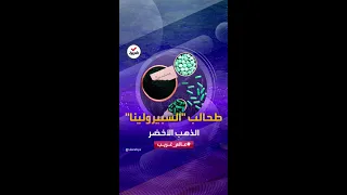 عالم غريب | طحالب "السبيرولينا".. قيمة غذائية عالية قد تجعلها "غذاء المستقبل"