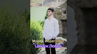 Мурад Ибрагимов | Цветок Любви 2023 (cover version)