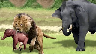 LEO IN BUSINESS! Lion vs elephant, crocodile, giraffe