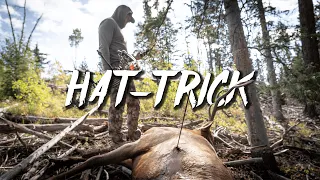 Colorado Archery OTC Elk & Bear Hunt | Hat-Trick | Send It 2.0 EP01