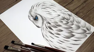 How to Draw an Owl Step by Ste| Drawing Tutorial | Bird Sketch