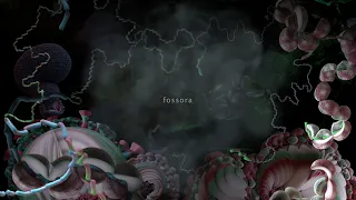 björk - fossora (lyric video)