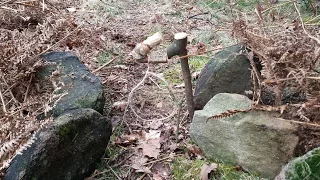 3 Easy Spring Snare Traps ~ Primitive ~ Survival