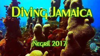 Scuba Diving JAMAICA / NEGRIL