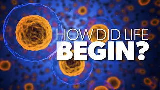 How Did Life Begin? | Proof for God