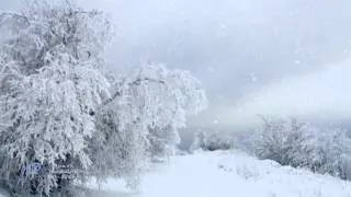 Ты не забудешь меня Мелодекламация на стихи Бориса Рудина