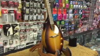 Seagull S8 Mandolin Sunburst EQ