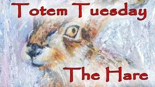 Totem Tuesday 7 - The Hare