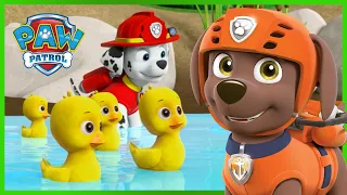 Die Welpen retten einen Ententeich - PAW Patrol Germany - Cartoons für Kinder