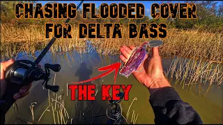 Fishing Cold Dirty Water For Aggressive Prespawn Delta Bass | Ca Delta Bass Fishing | Franks Tract