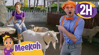 Blippi & Meekah's Train Rides & Animal Friends | 2 HRS OF MEEKAH! | Educational Videos for Kids