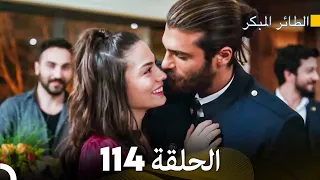 مسلسل الطائر المبكر الحلقة 114 (Arabic Dubbed)